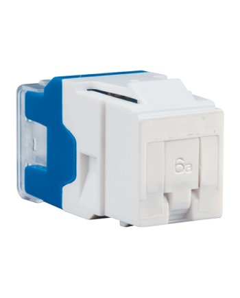 Schneider Actassi CAT 6A UTP Keystone White Non Shutter Price in Dubai, UAE