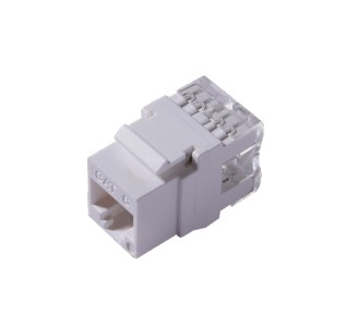 Dconnect CAT6 UTP Keystone Jack Price in Dubai UAE.